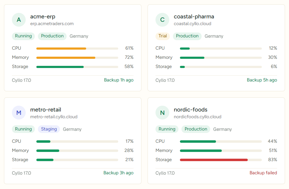 Running Cyllo instances with CPU, memory and storage usage